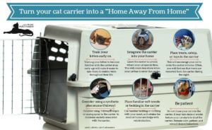 cat-carrier